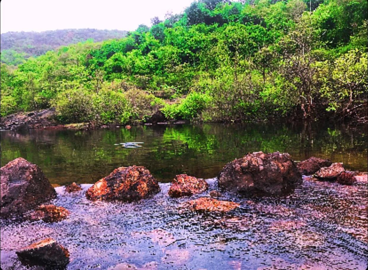 Rohan Homestay By Traviget Hospitality, Dapoli-Konkan Harnai Luaran gambar
